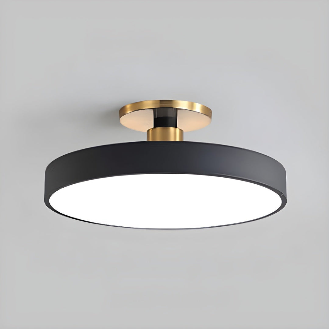 Contemporary Lumeanon round LED ceiling light, flush mount, dimmable for modern, bright spaces.