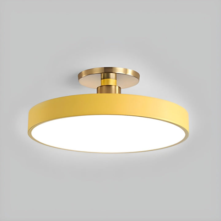 Lumeanon round LED ceiling light, modern dimmable, flush mount, perfect for energy-efficient homes.
