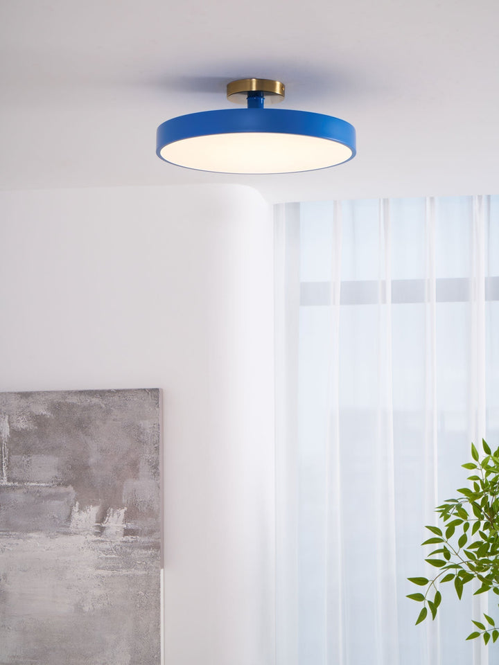 Energy-efficient Lumeanon round LED ceiling light, modern flush mount, dimmable for home decor.