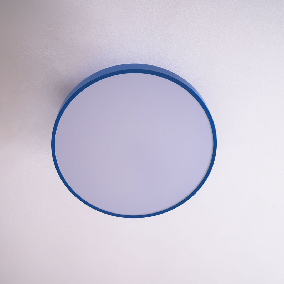 Lumeanon round LED ceiling light, dimmable, modern flush mount, optimal for ambient lighting.