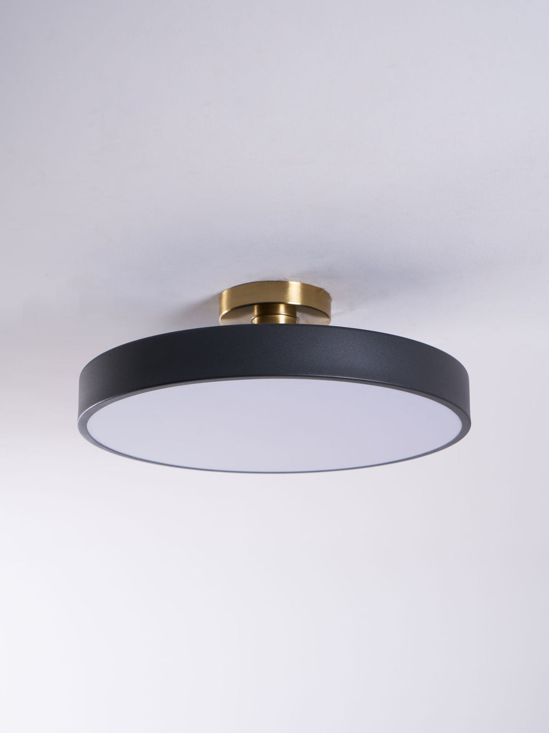 Bright Lumeanon round LED ceiling light, modern, dimmable flush mount for energy-saving homes.