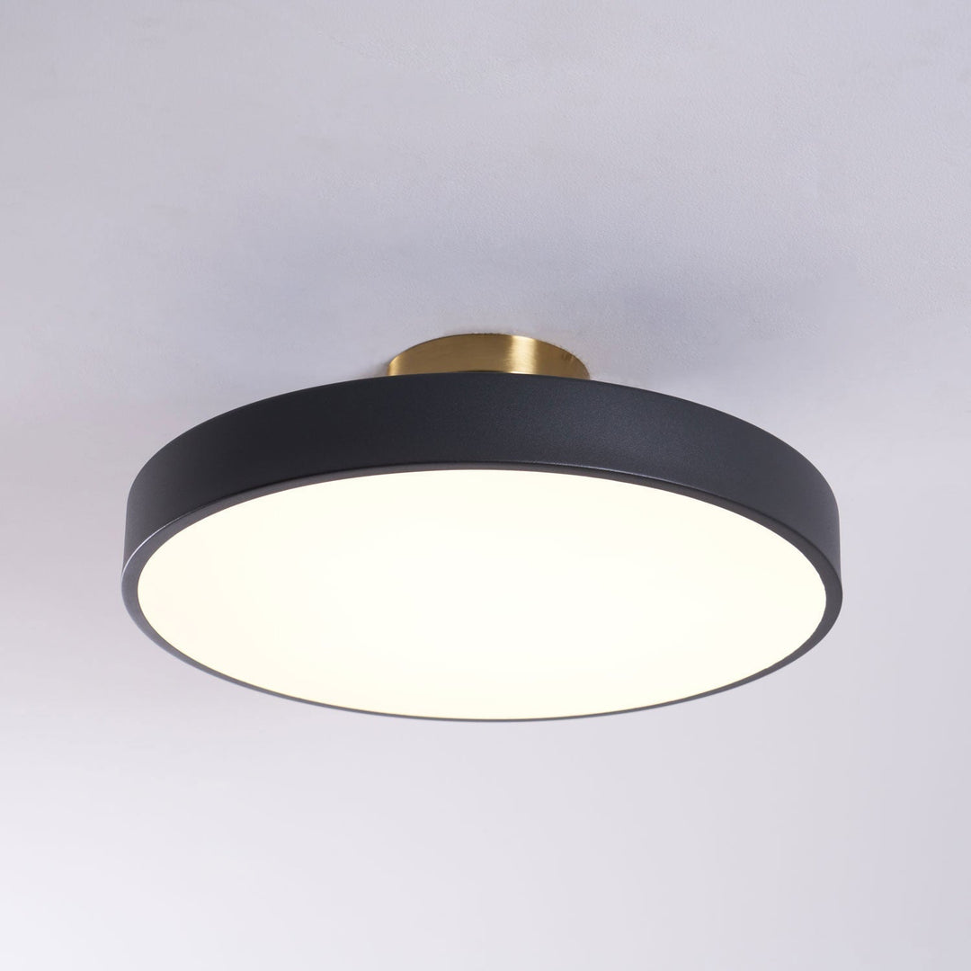 Dimmable Lumeanon round LED ceiling light, modern flush mount, a key for contemporary decor.