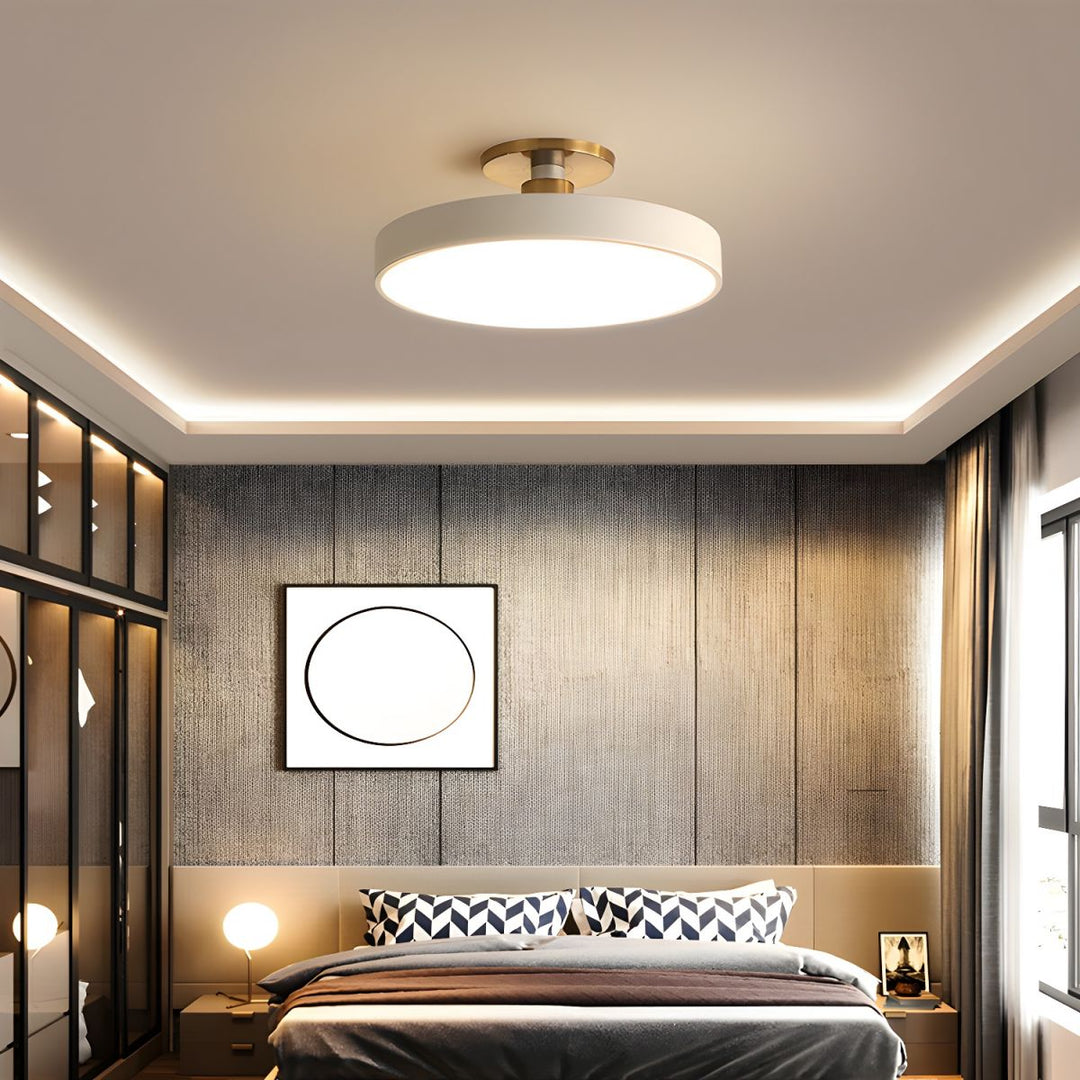 Contemporary Lumeanon round LED ceiling lamp, flush mount, dimmable for bright, efficient spaces.
