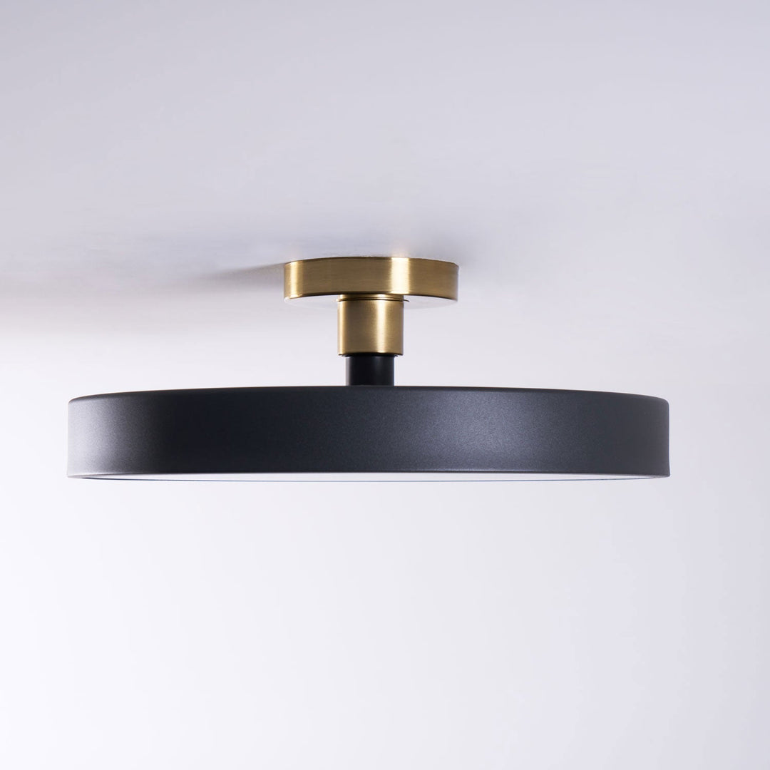 Lumeanon round LED ceiling light, modern flush mount, dimmable for vibrant energy-efficient spaces.