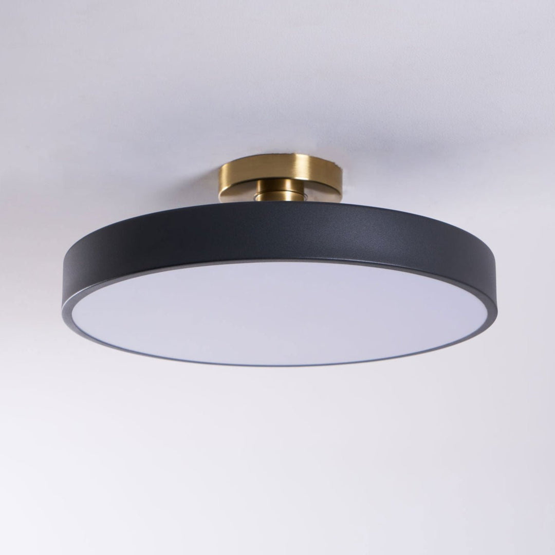 Contemporary Lumeanon round LED ceiling light, dimmable, flush mount, modern home lighting.