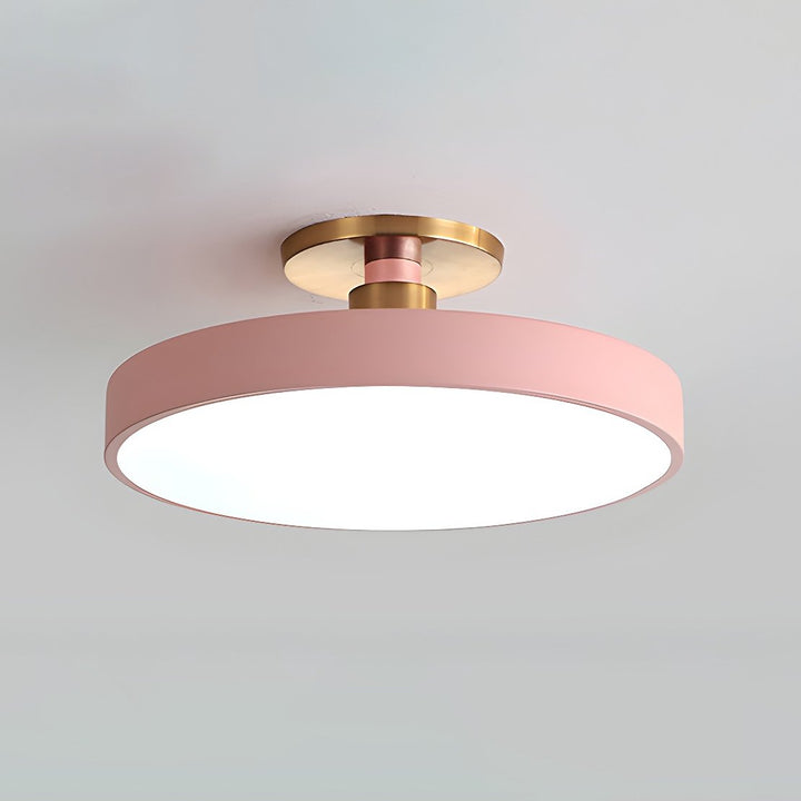 Lumeanon round LED ceiling light, dimmable, modern flush mount, ideal for versatile home decor.