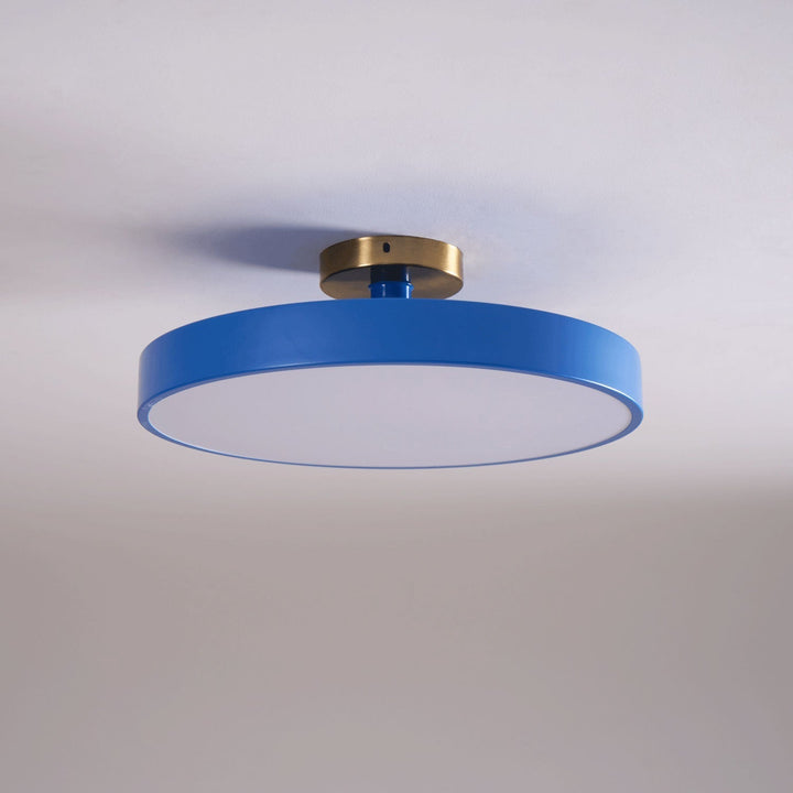 Bright Lumeanon round LED ceiling light, modern design, dimmable, flush mount, energy-efficient.