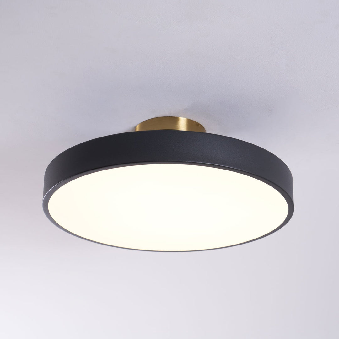 Dimmable Lumeanon round LED ceiling light, modern flush mount, essential for contemporary lighting.