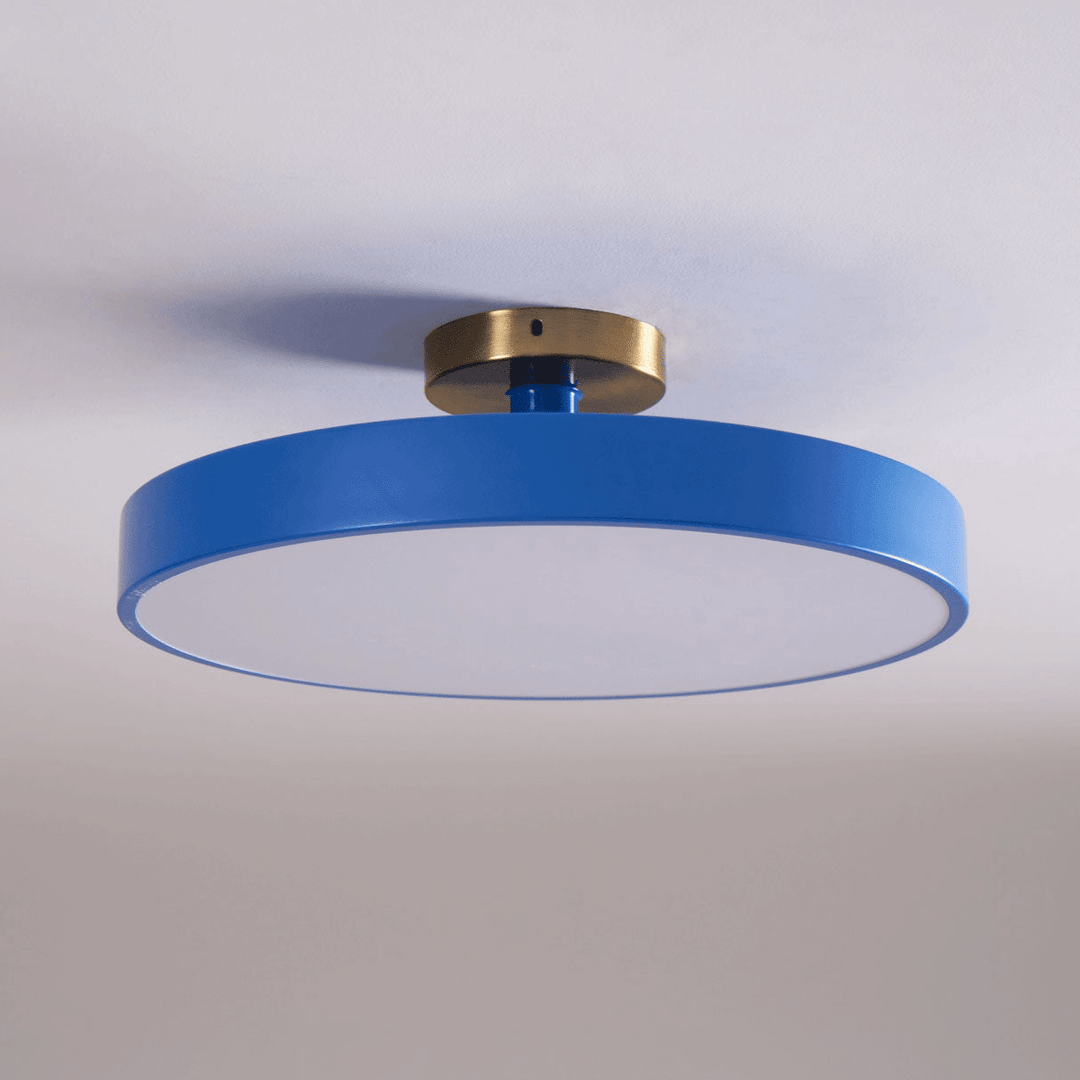 Sleek Lumeanon round LED ceiling light, modern home decor, dimmable, energy-efficient flush mount.