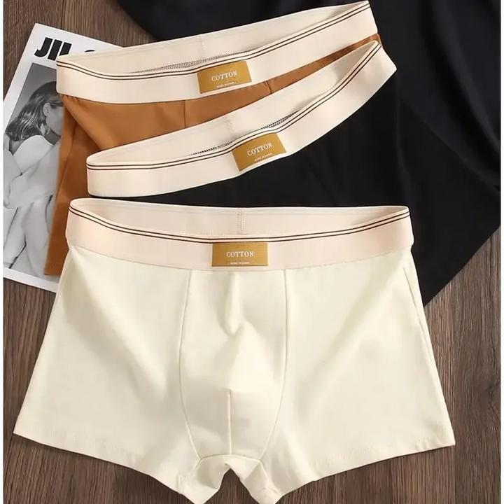 Men's comfortable daily boxer briefs with contrasting elastic waistband for all-day support.