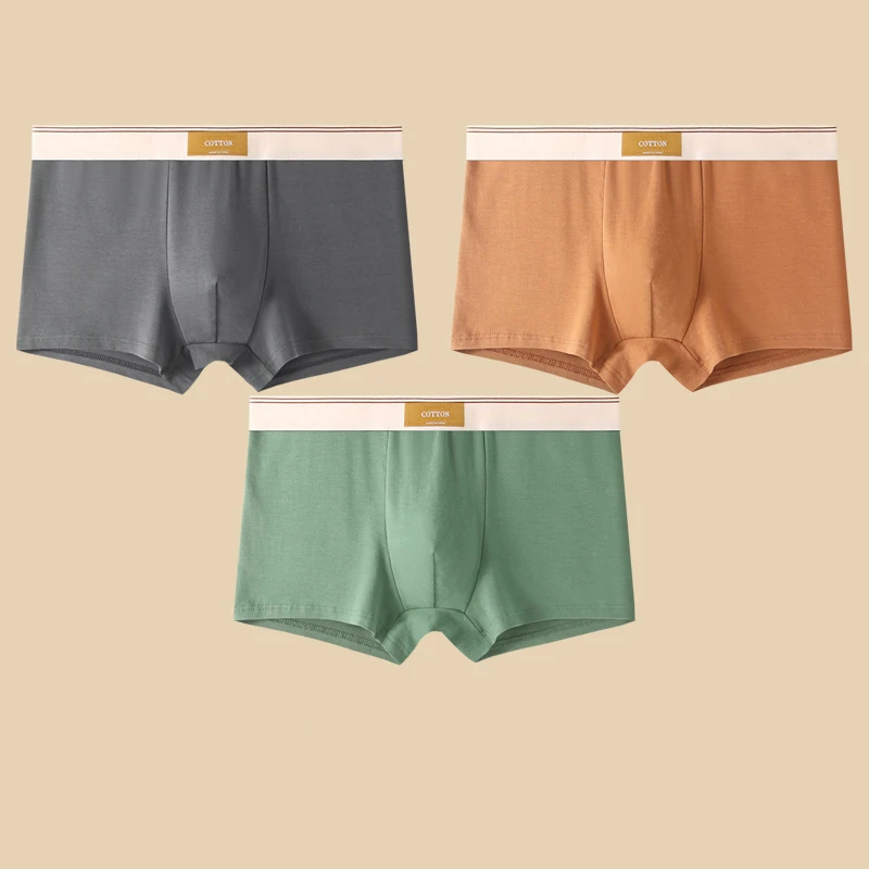 Versatile men's regular fit boxer briefs, comfortable for all-season daily wear, contrasting waistband.