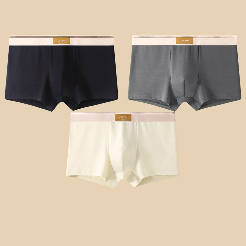Men's everyday comfort boxer briefs with a contrasting elastic waistband, ideal for active lifestyles.