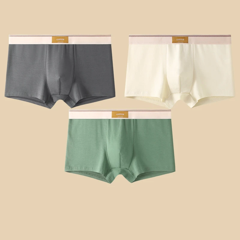 Supportive men's daily underwear, neutral color boxer briefs with a standout contrasting elastic waistband.