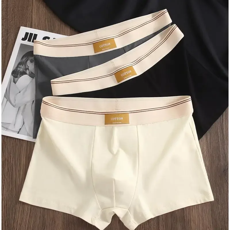 Men's regular fit boxer briefs featuring a stylish contrasting elastic waistband, perfect for daily wear.