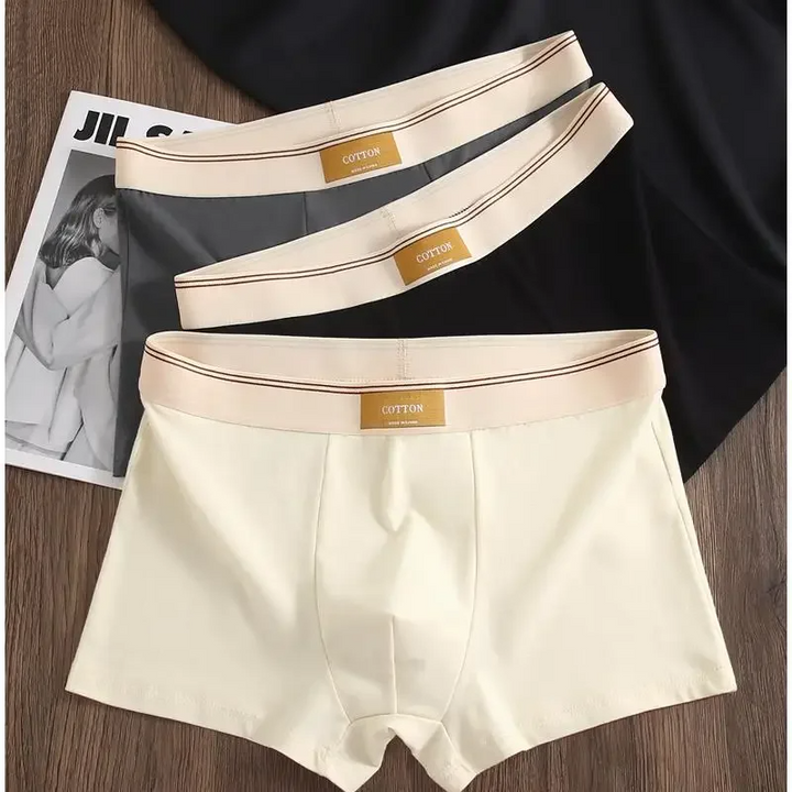Men's regular fit boxer briefs featuring a stylish contrasting elastic waistband, perfect for daily wear.