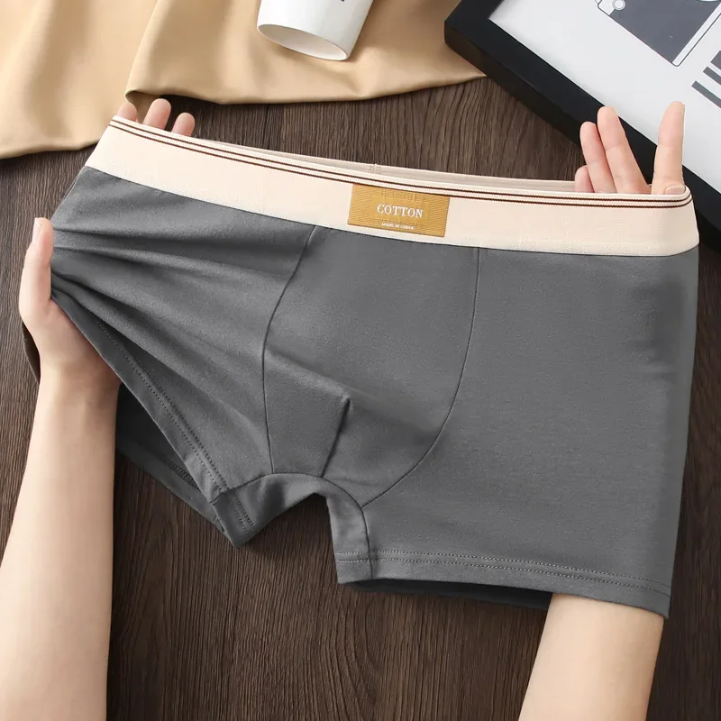 Soft, supportive men's boxer briefs with a contrasting waistband, ideal for everyday comfort & fit.