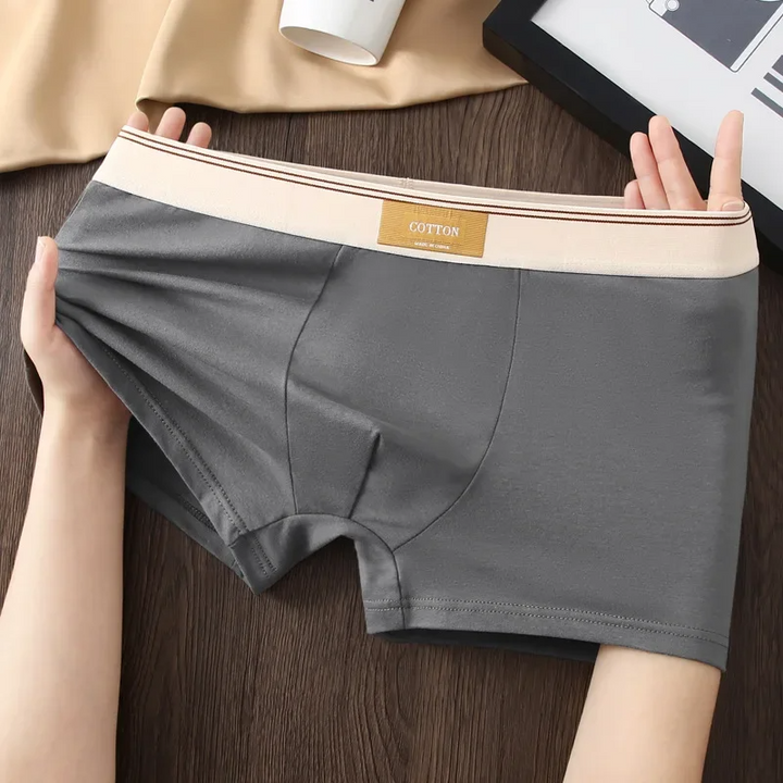 Soft, supportive men's boxer briefs with a contrasting waistband, ideal for everyday comfort & fit.