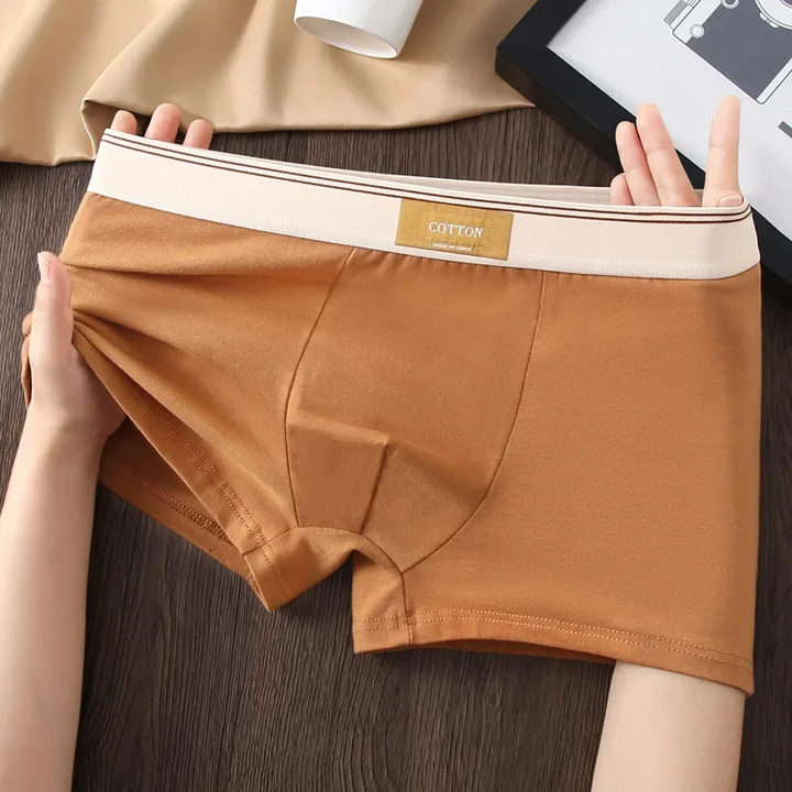 All-season men's daily boxer briefs, regular fit, providing comfort and support with a contrasting waist.