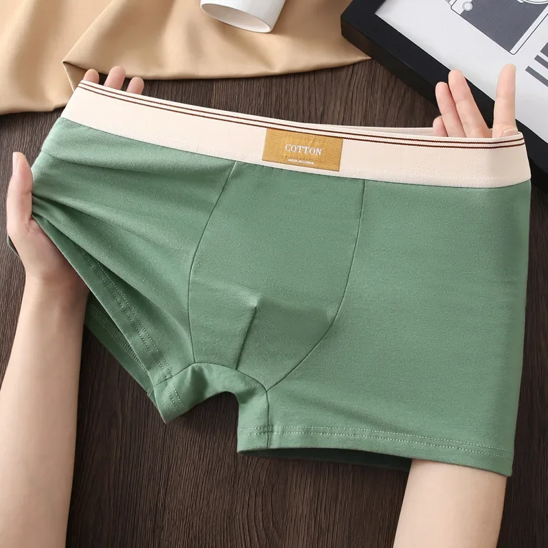 Neutral colored men's underwear, comfortable boxer briefs with a distinctive contrasting elastic waistband.