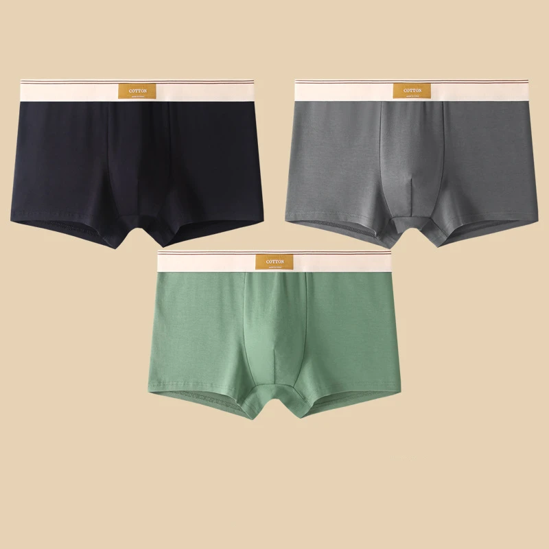 Comfortable & durable men's daily boxer briefs, regular fit, all-season wear with contrasting waistband.