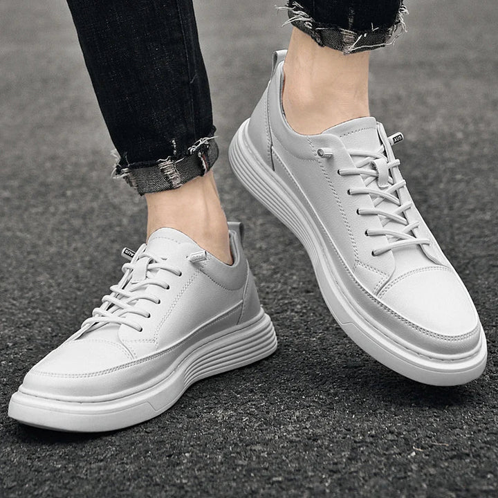 Everyday men's low top walking shoes, comfortable and modern casual footwear.