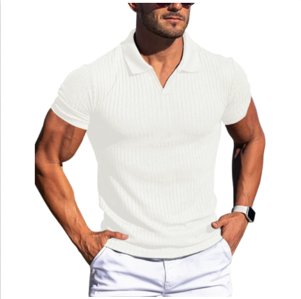 Men's stylish summer polo shirt, perfect for casual wear. Comfortable short-sleeve top.
