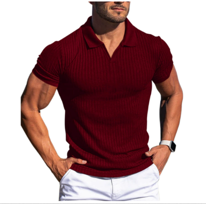Men's stylish short-sleeve polo shirt. A versatile summer top for casual, everyday comfort and a classic look.