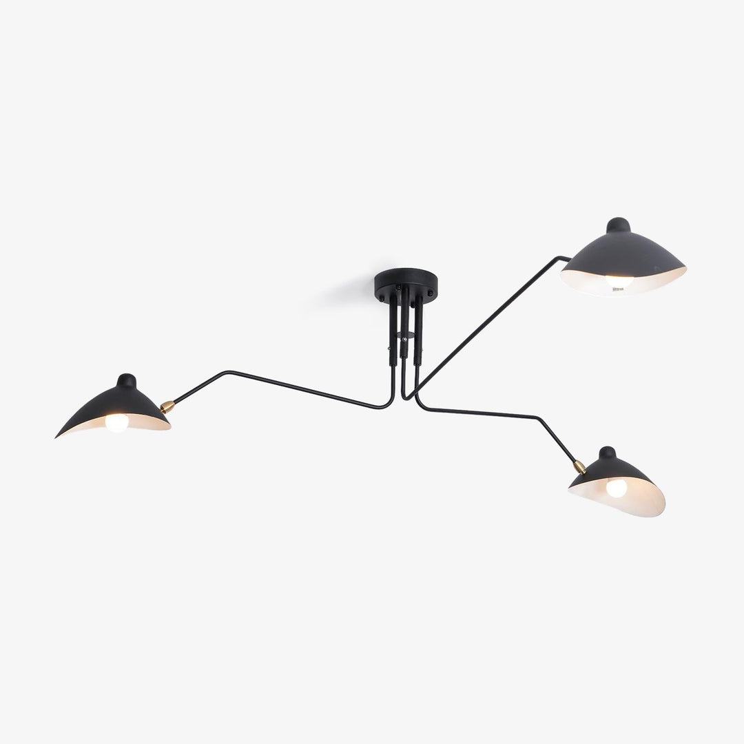 Modern multi-arm adjustable ceiling light, metal fixture for a contemporary entryway.