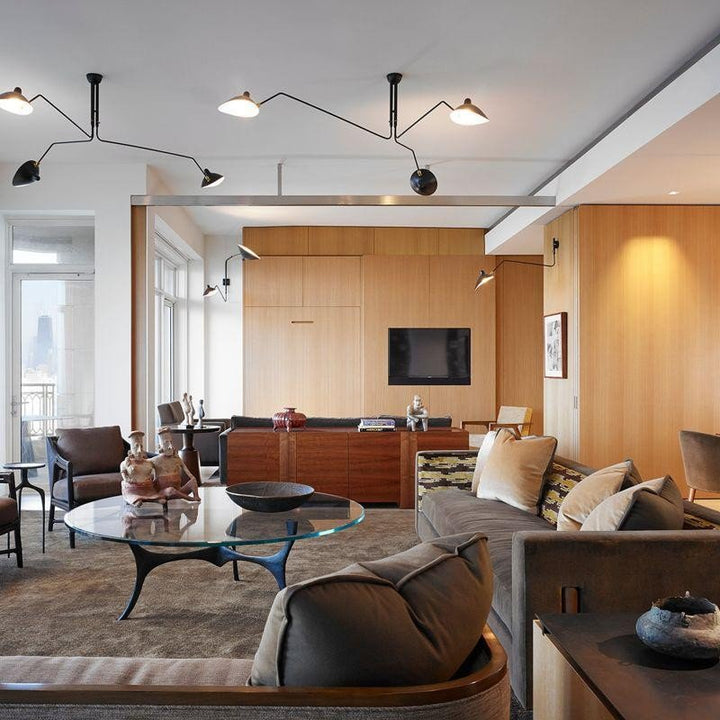 Sleek adjustable multi-arm ceiling light, minimalist metal fixture ideal for home decor.