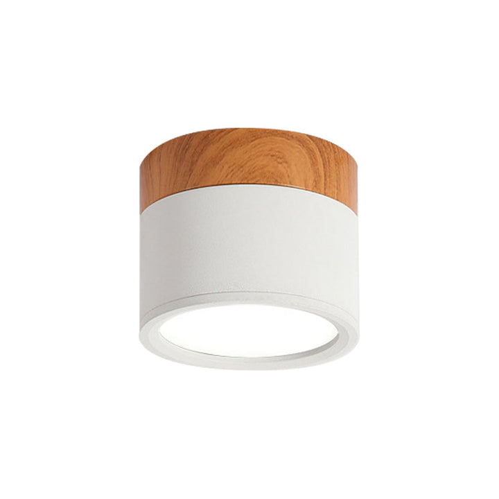Minimalist cylindrical LED flush mount ceiling light, perfect for contemporary homes, kitchens, and hallways.