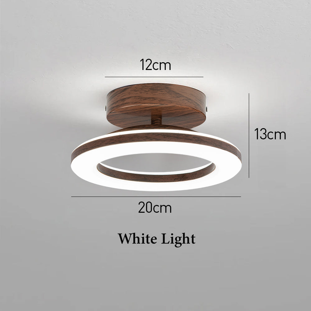 Decorative LED disc ceiling light for elegant home lighting and modern interiors.