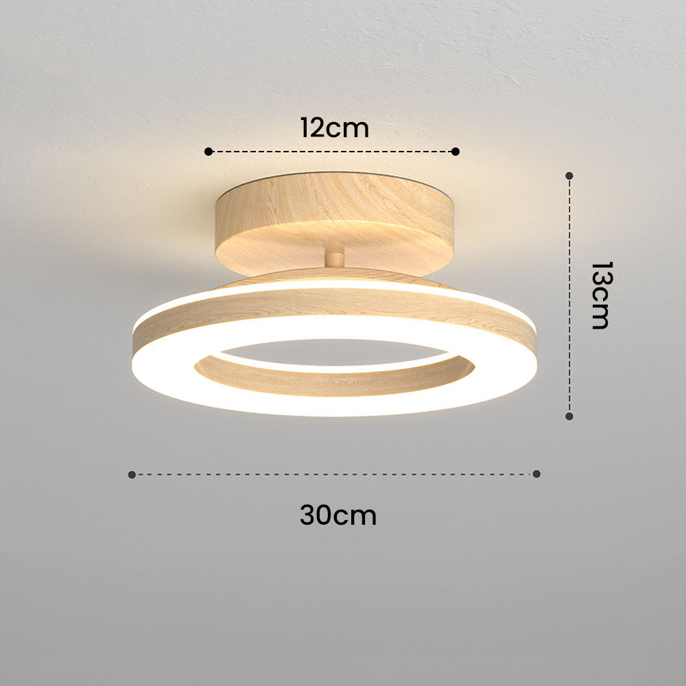 Decorative disc ceiling lamp, modern design, energy-efficient LED interior light.