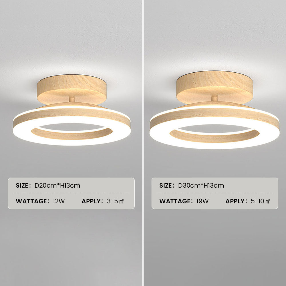 Contemporary disc ceiling fixture, bright LED light, perfect for hallway lighting.