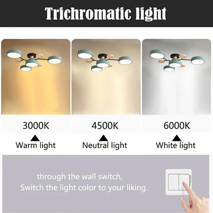Stylish round LED halo ceiling fixture for modern home illumination.