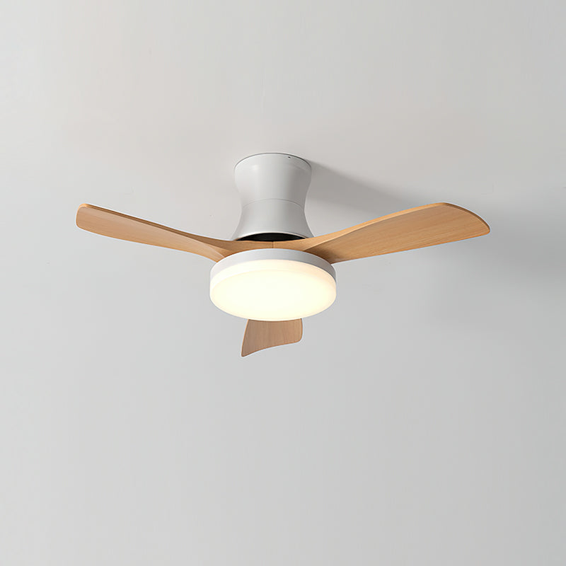 Bedroom & living room LED ceiling fan lamp, modern, remote operated.