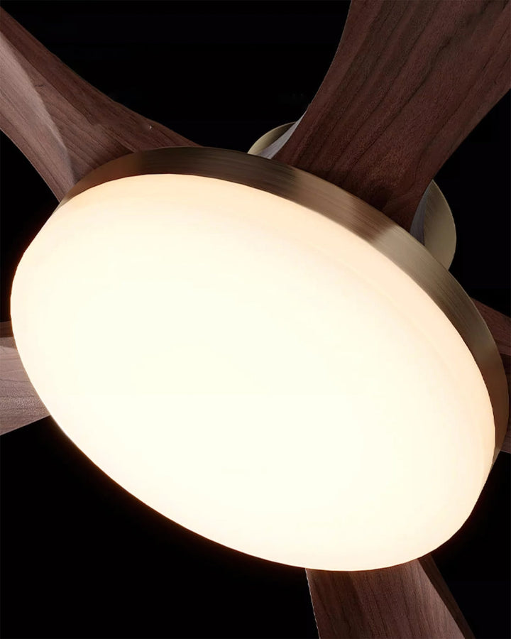 Contemporary LED ceiling fan light, remote control, perfect for modern homes.