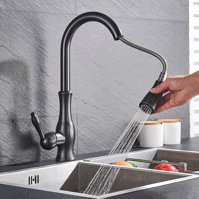 Sleek matte black kitchen faucet featuring a pull-out spout and single lever for contemporary design.