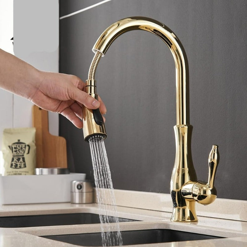 Shiny chrome kitchen sink mixer with pull-out sprayer, offering a versatile and modern look for your home.