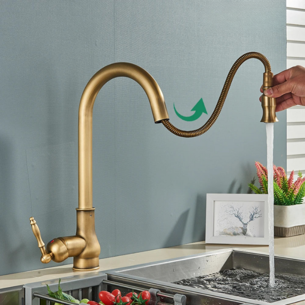 Single lever kitchen mixer tap with convenient pull-out sprayer and swivel spout for easy dishwashing.