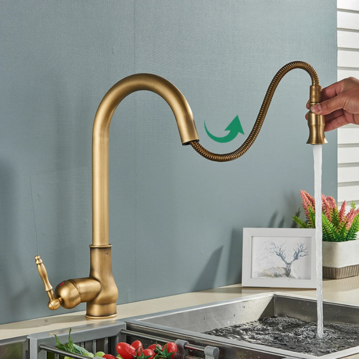 Single lever kitchen mixer tap with convenient pull-out sprayer and swivel spout for easy dishwashing.