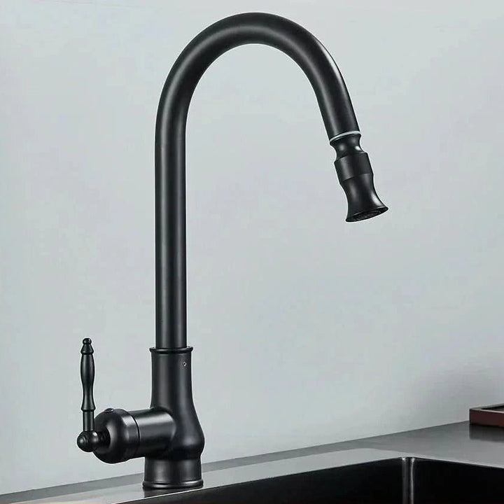 High-quality kitchen faucet with pull-out sprayer, swivel spout, and single lever control for any kitchen.