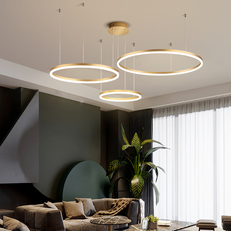 Lorenna modern LED ring light, an eye-catching ceiling fixture for dining areas.