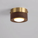 Walnut wood B