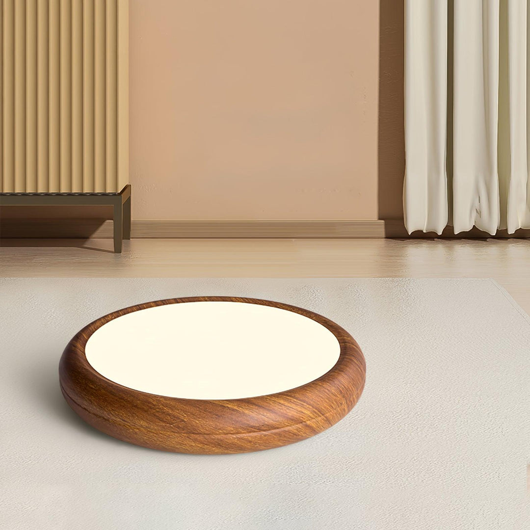 Contemporary LED flush mount, round shape, sleek design, ideal home lighting.