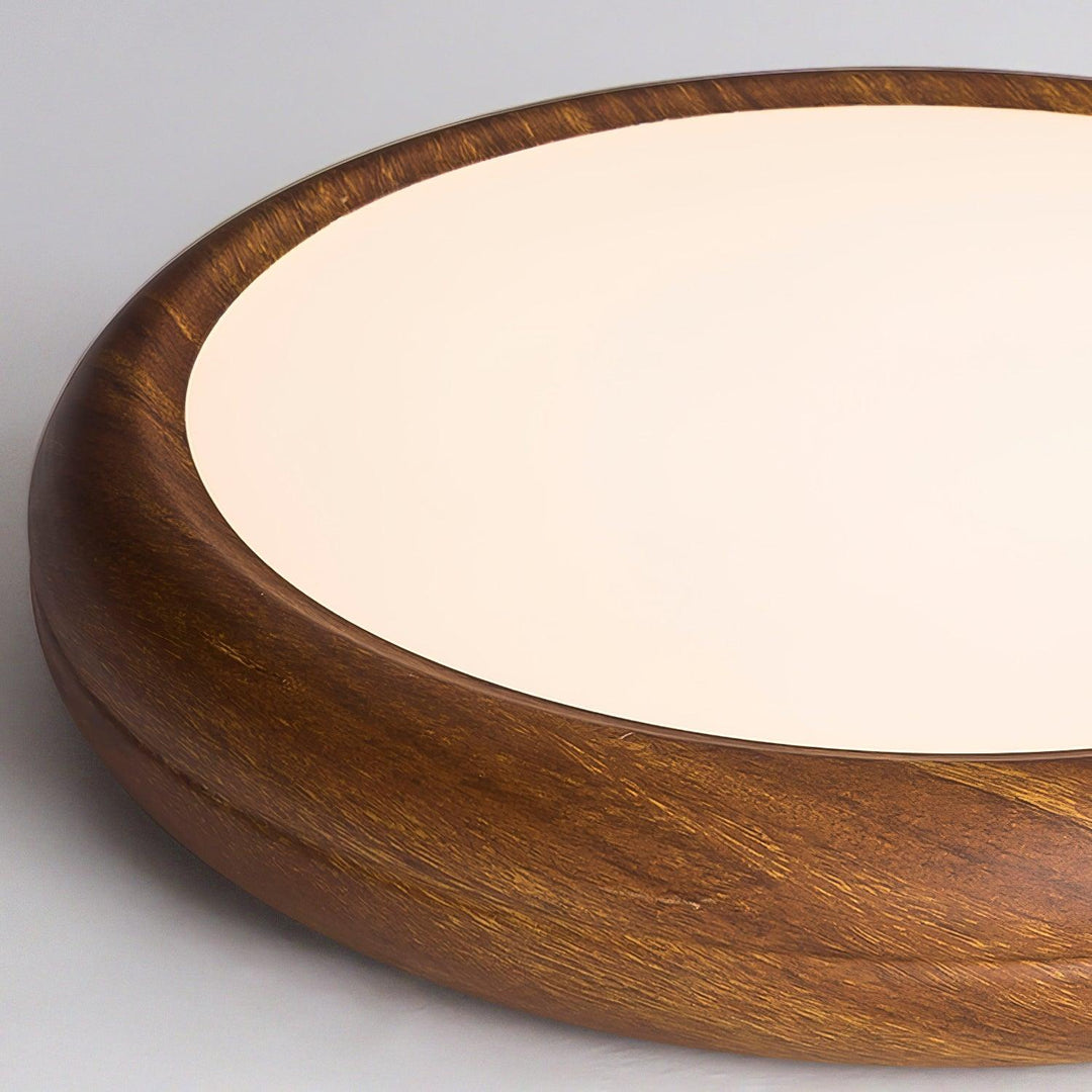 Contemporary round LED flush mount fixture, sleek design, ideal for modern homes.