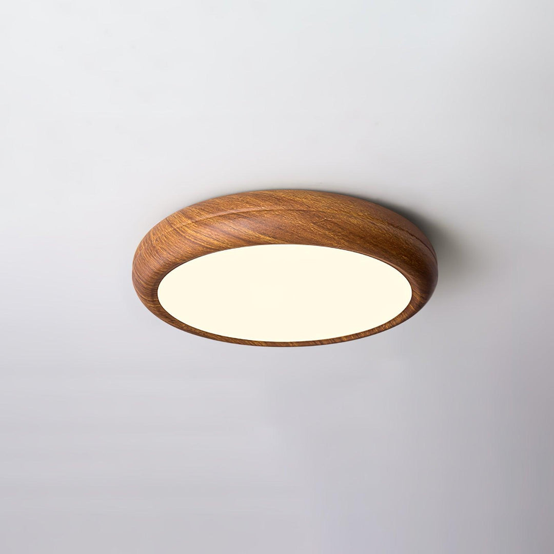Sleek modern LED flush mount, circular design, perfect for home decor lighting.