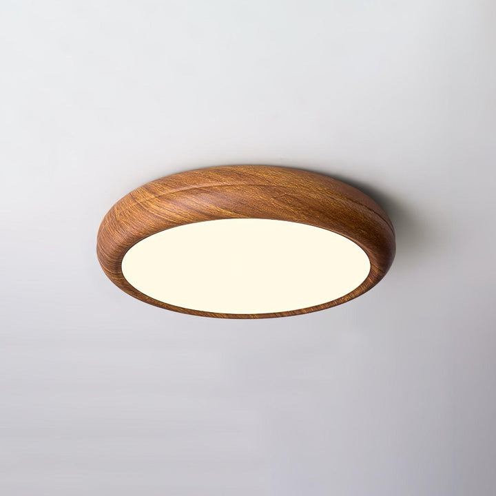 Dimmable round LED flush mount, contemporary ceiling light, energy saving.