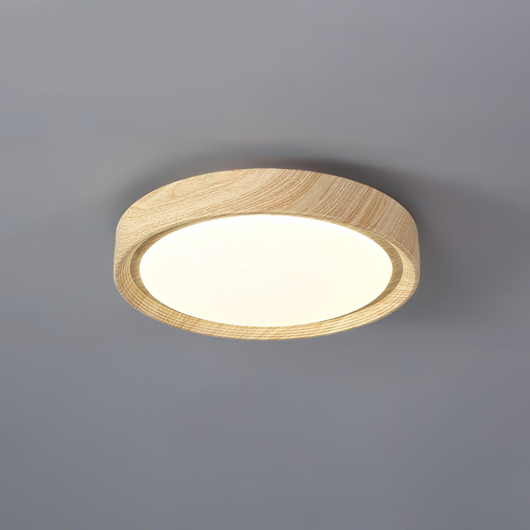 Contemporary round LED flush mount ceiling lamp, minimalist and functional.