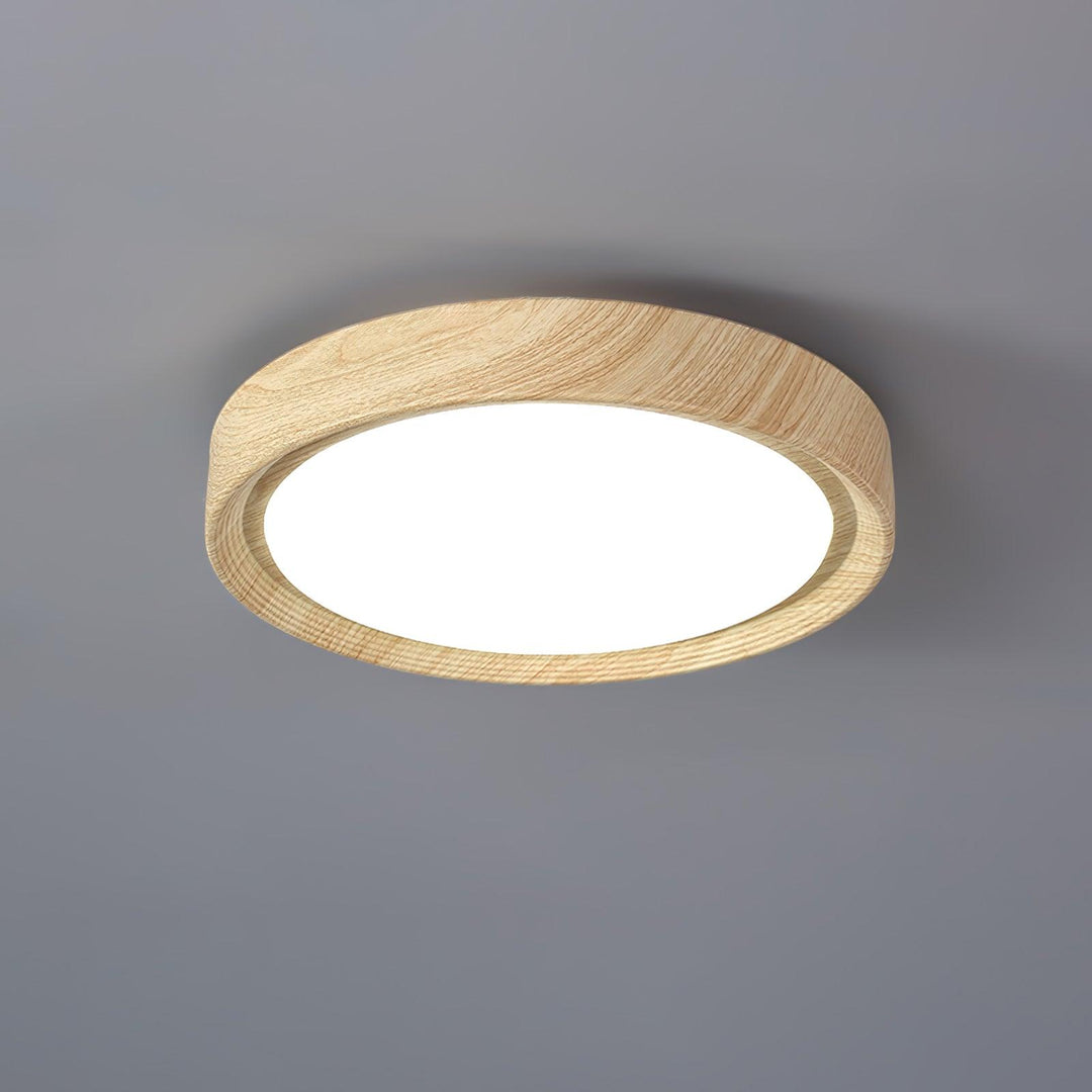 Modern round LED flush mount, perfect blend of form and function for homes.