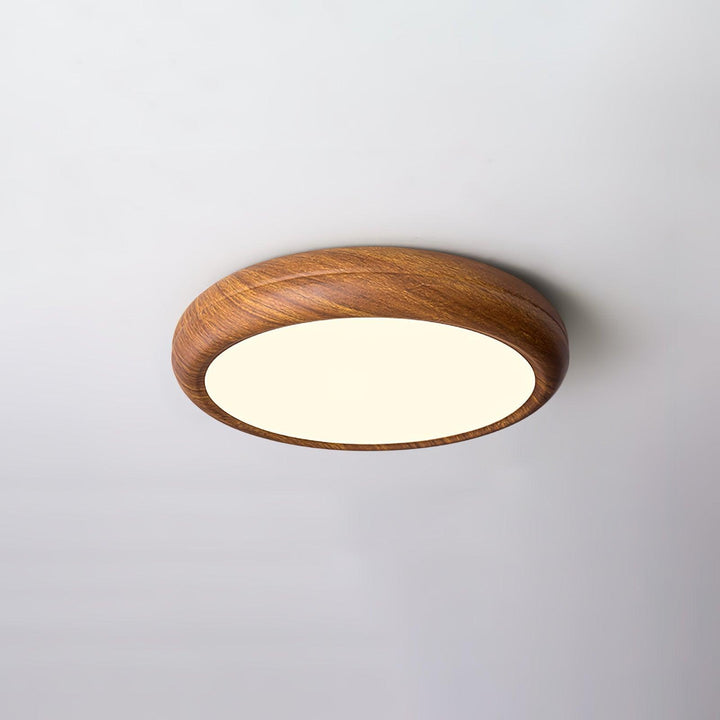 Contemporary round LED flush mount, adjustable color temperature, modern decor.